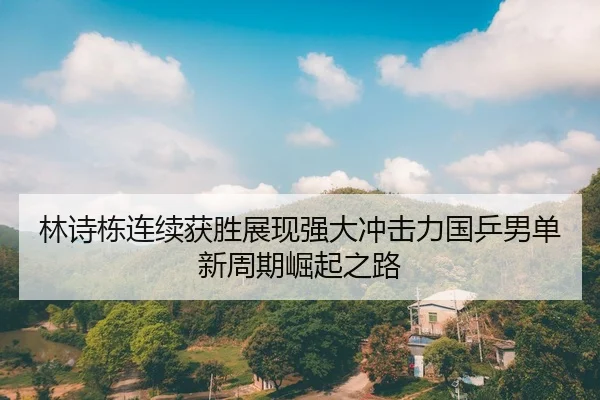 林诗栋连续获胜展现强大冲击力国乒男单新周期崛起之路