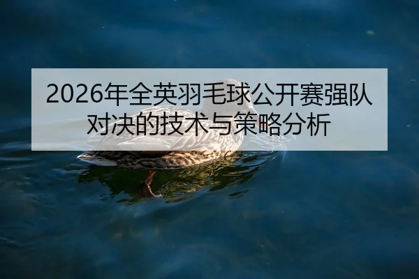 nian-quan-ying-yu-mao-qiu-gong-kai-sai-qiang-dui-dui-jue-de-ji-shu-yu-ce-lve-fen-xi-2-121.jpg